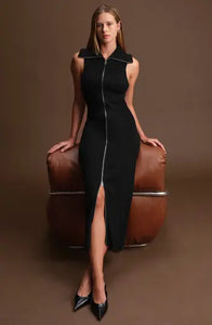 Paul Zip Up Dress