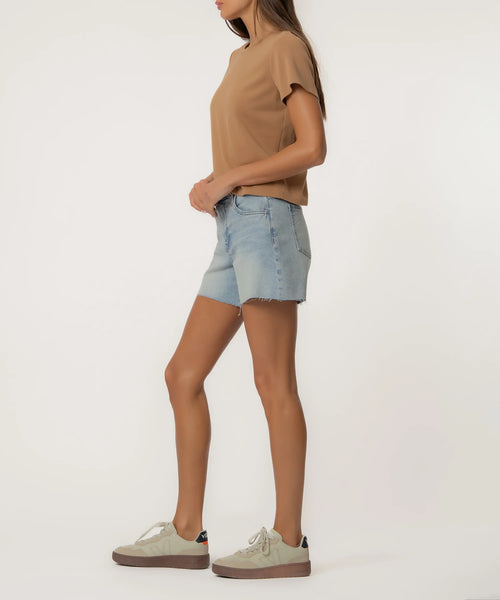 Jane High Rise Long Shorts