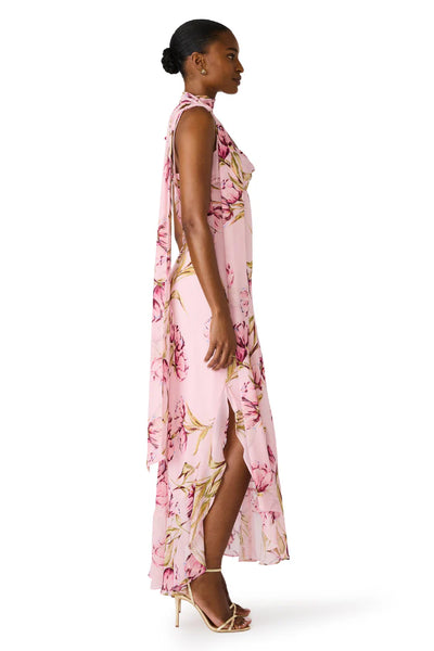 Jaila Dress